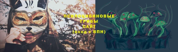 2c-b Ладушкин