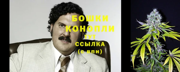 2c-b Ладушкин