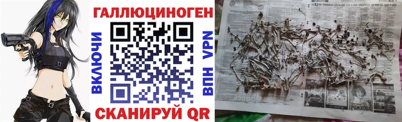 Галлюциногенные грибы Psilocybe  что такое   Ртищево 