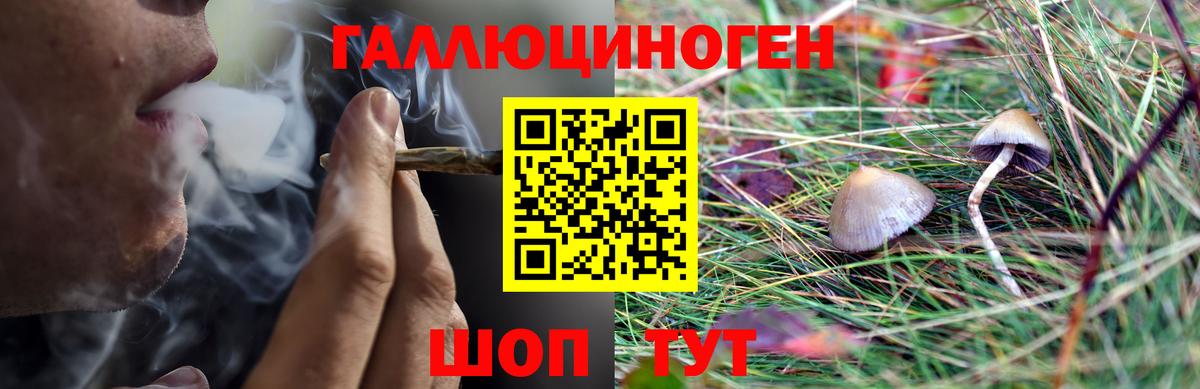 Псилоцибиновые грибы прущие грибы  Галлюциногенные грибы мицелий  Ртищево  Вход с VPN 